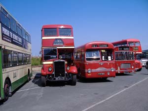 Ribble buses at Blackpool show June 2005